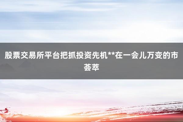 股票交易所平台把抓投资先机**在一会儿万变的市荟萃