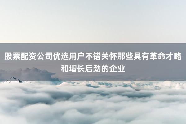 股票配资公司优选用户不错关怀那些具有革命才略和增长后劲的企业