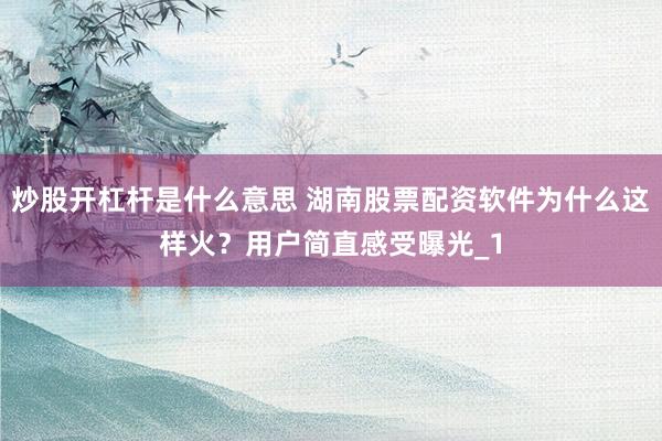 炒股开杠杆是什么意思 湖南股票配资软件为什么这样火？用户简直感受曝光_1