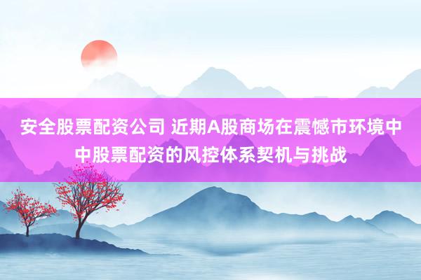 安全股票配资公司 近期A股商场在震憾市环境中中股票配资的风控体系契机与挑战